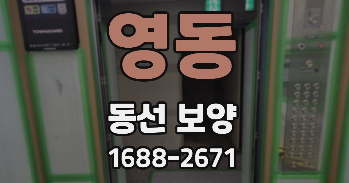영동 동선 보양