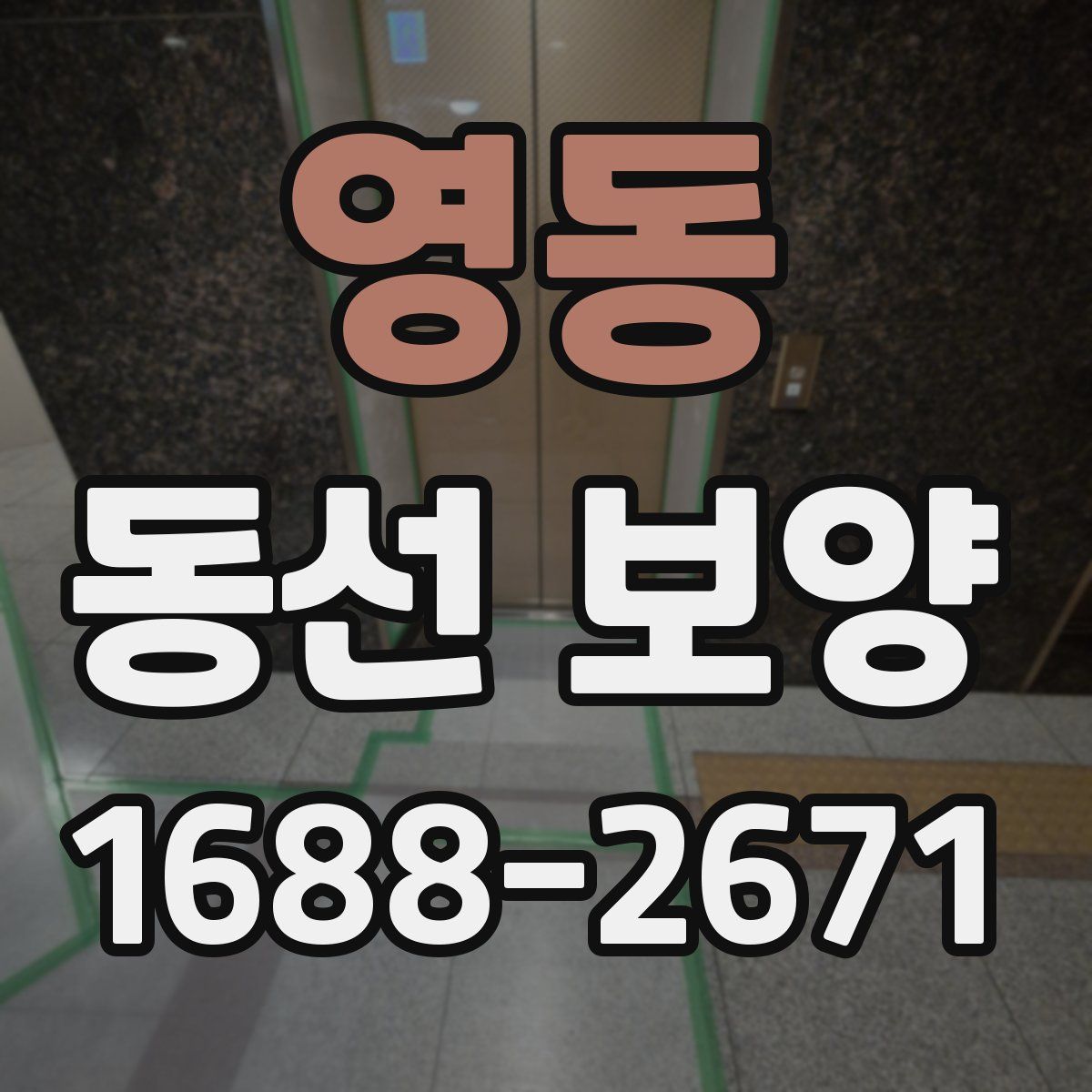 영동 동선 보양