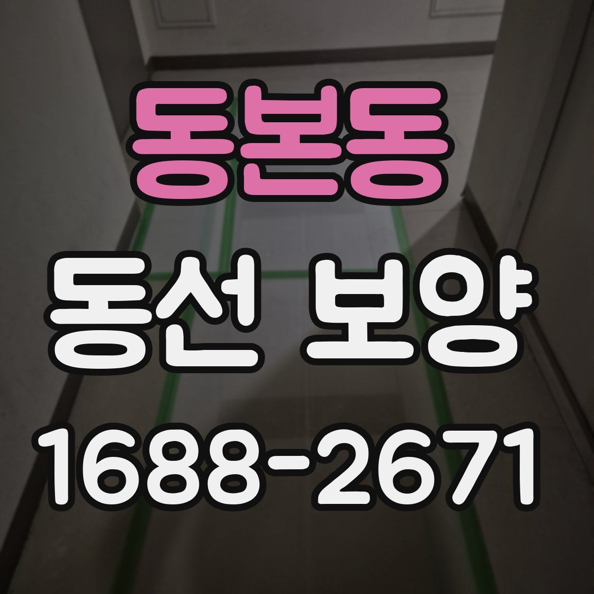 동본동 동선 보양