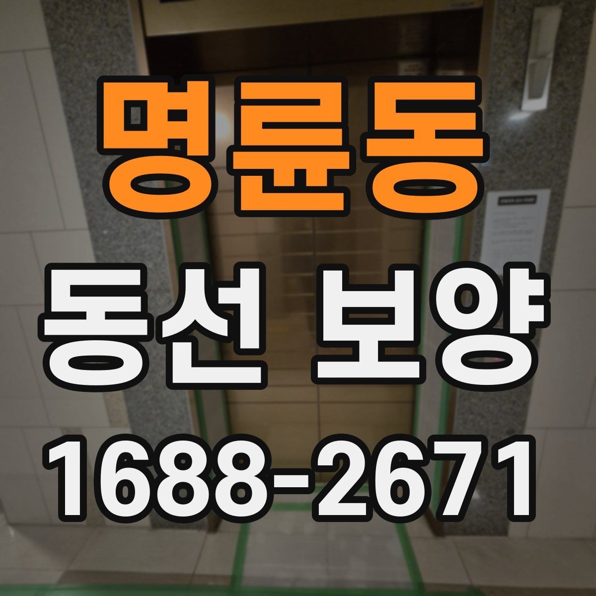 명륜동 동선 보양 작업의 완성도를 높이는 관리법