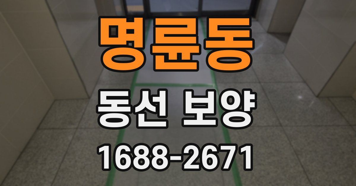 명륜동 동선 보양
