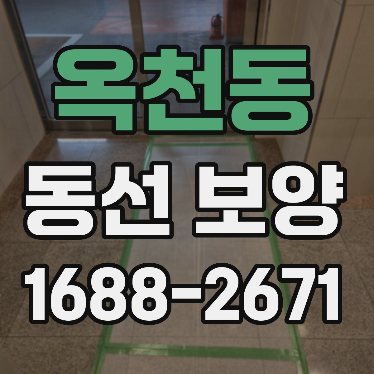 옥천동 동선 보양