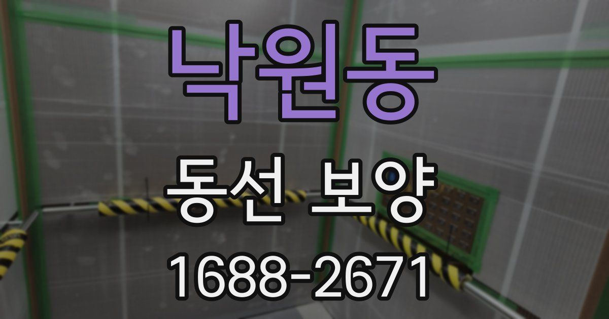 낙원동 동선 보양