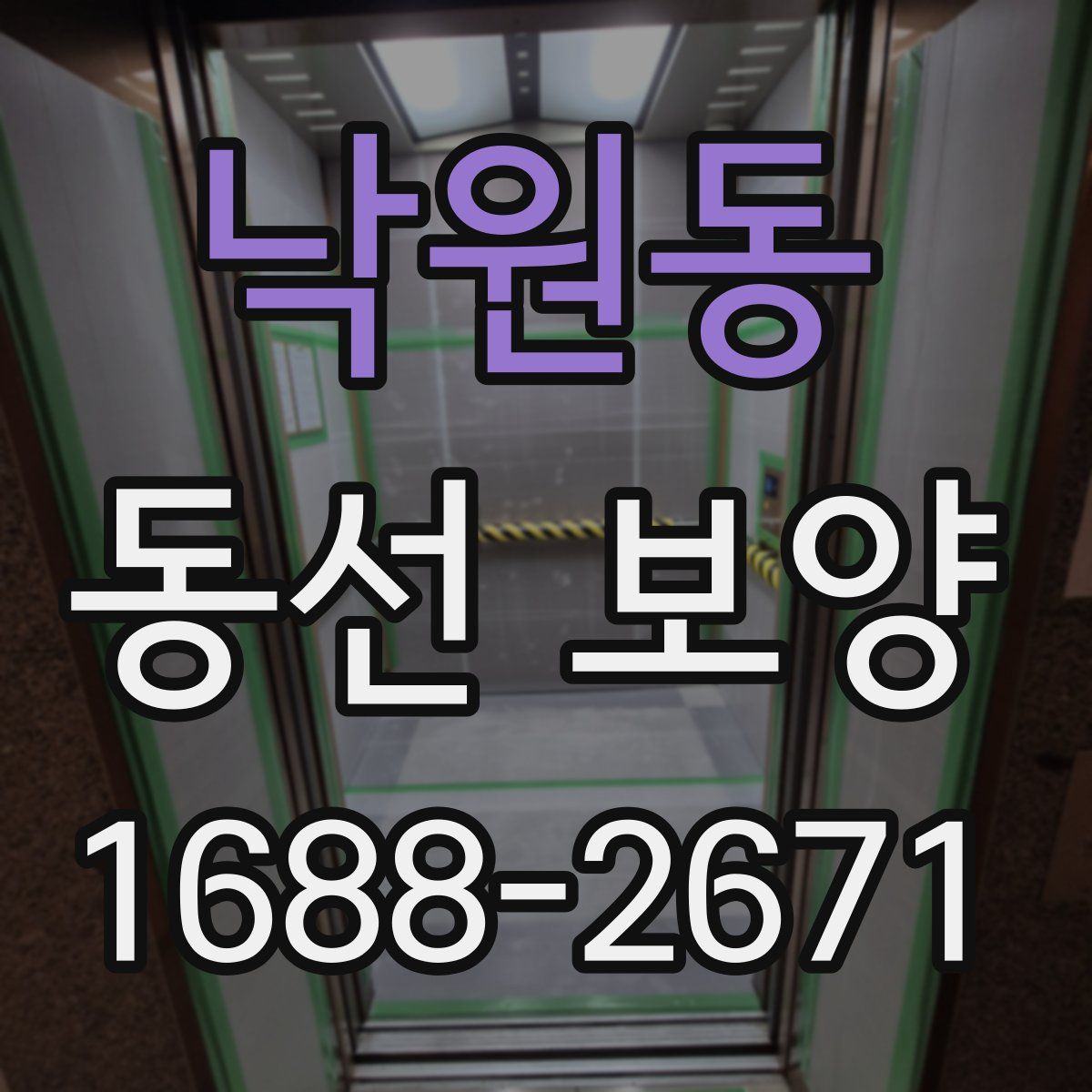 낙원동 동선 보양