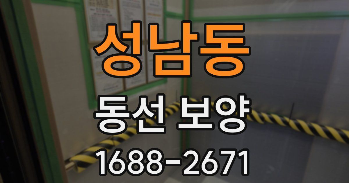 성남동 동선 보양