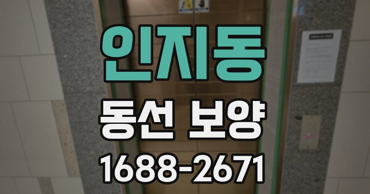 인지동 동선 보양