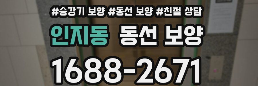 인지동 동선 보양