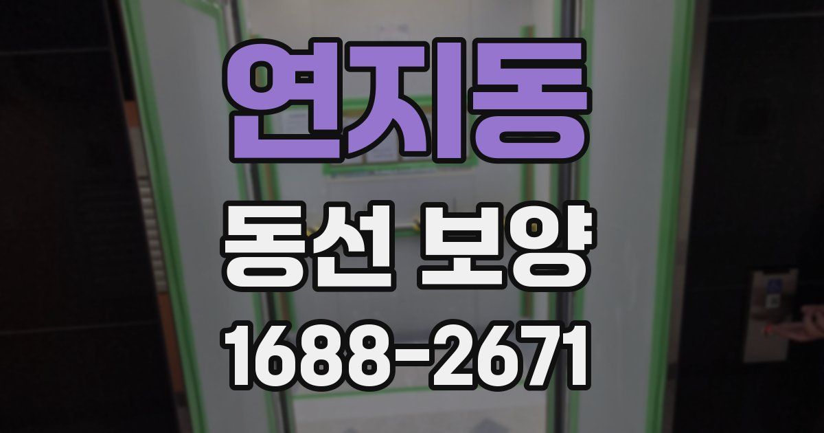 연지동 동선 보양