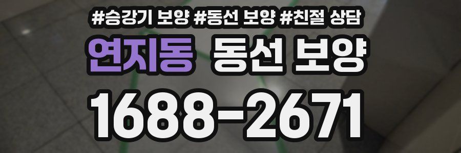 연지동 동선 보양