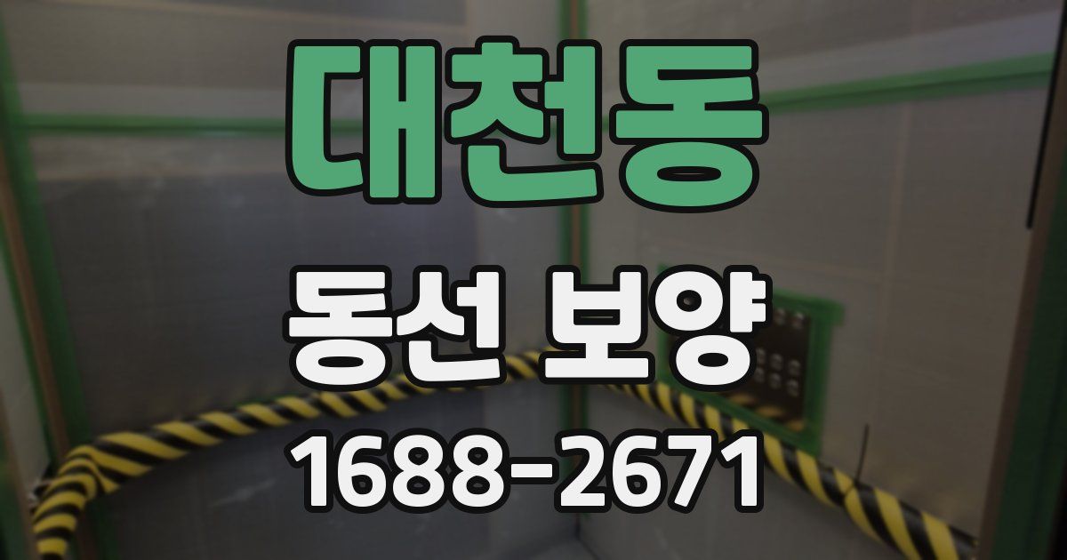 대천동 동선 보양