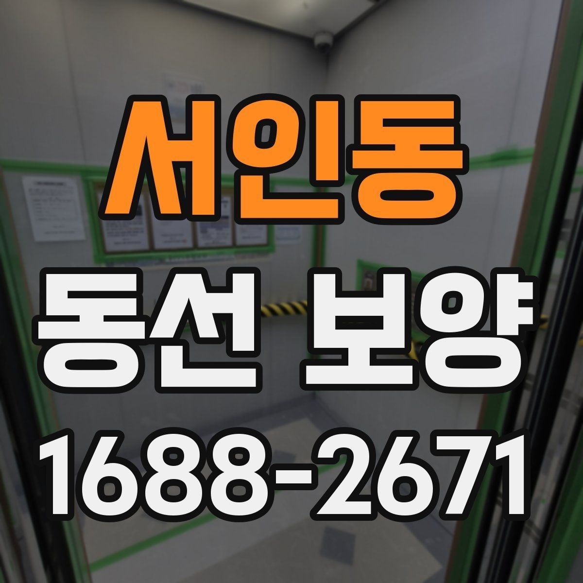 서인동 동선 보양 작업 전후 비교로 보는 변화