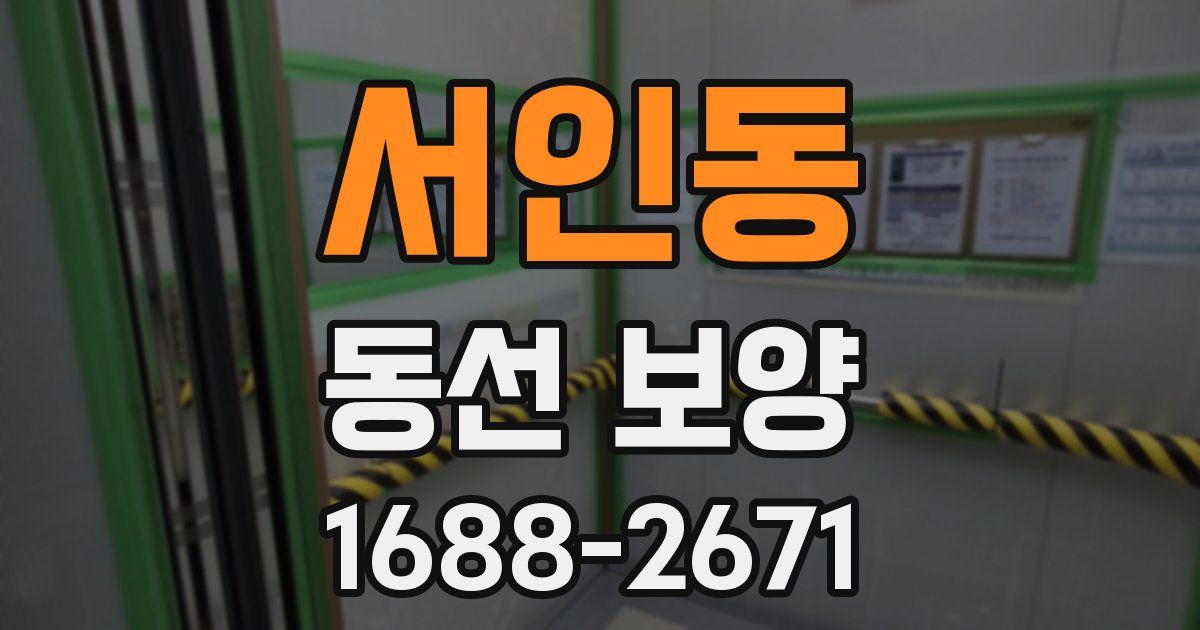서인동 동선 보양