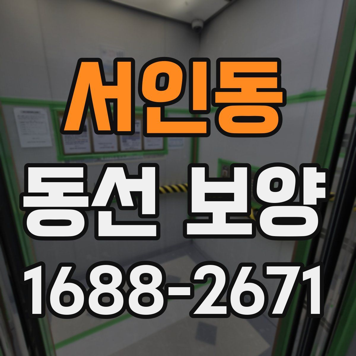 서인동 동선 보양