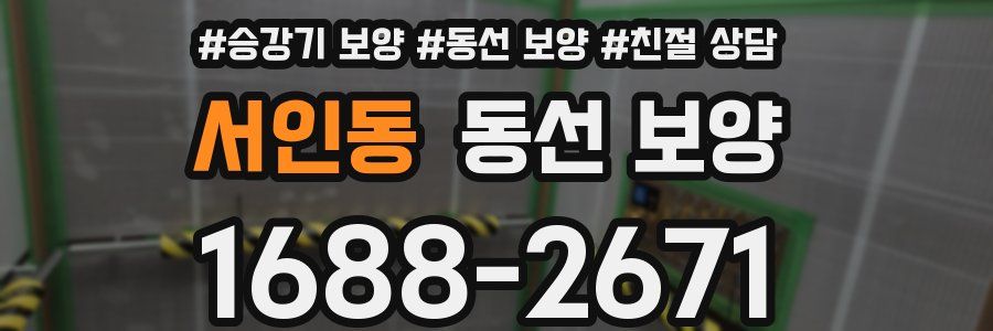 서인동 동선 보양