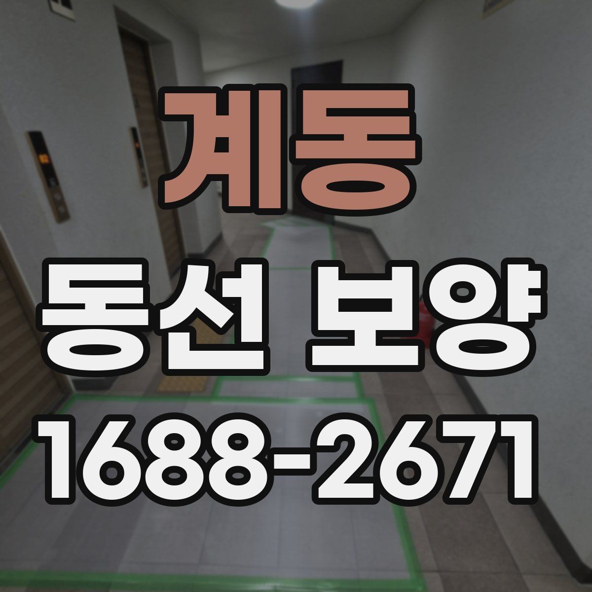계동 동선 보양 작업에서 마감재 보호가 중요한 이유