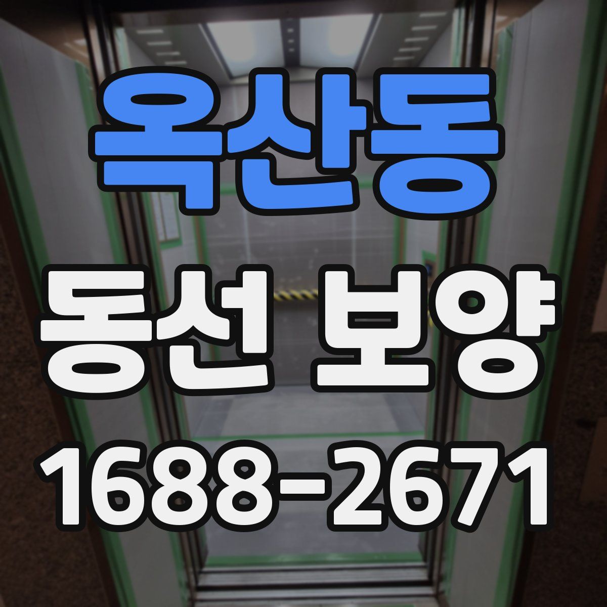 옥산동 동선 보양