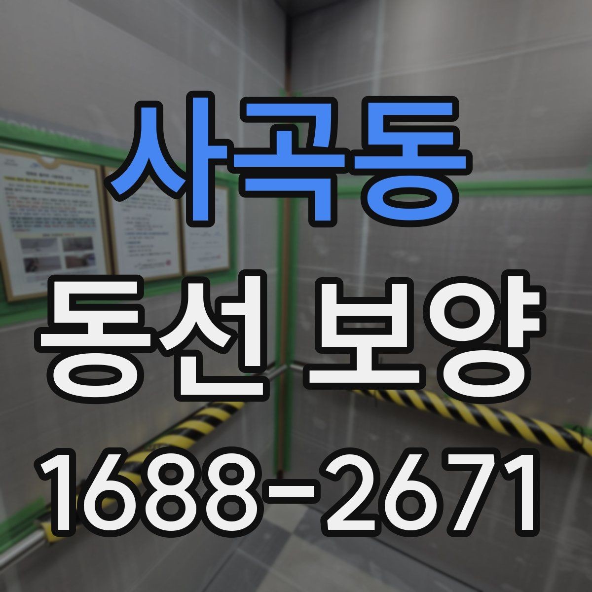 사곡동 동선 보양 작업 전 체크해야 할 사항