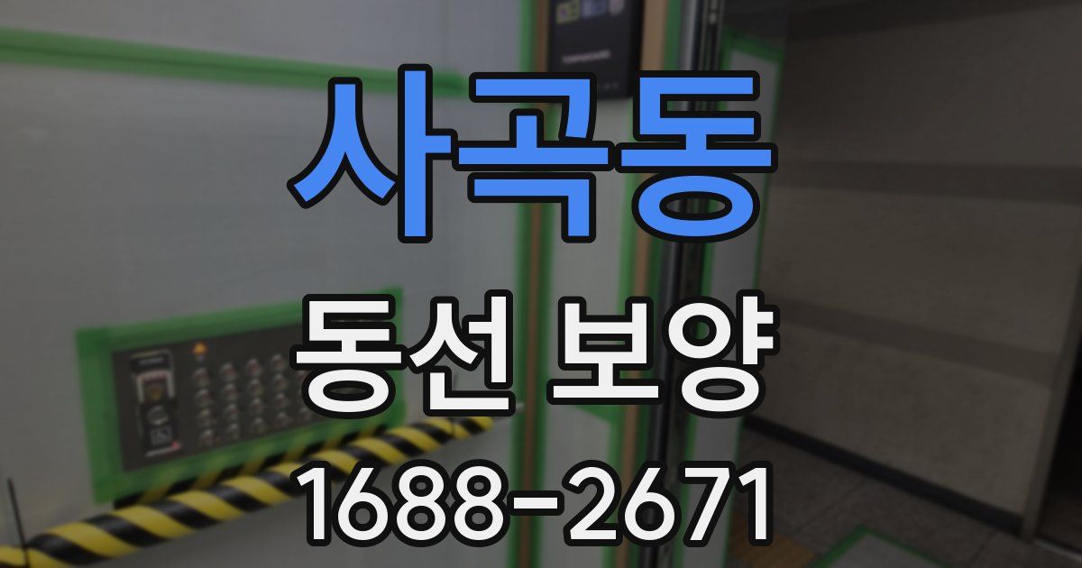 사곡동 동선 보양