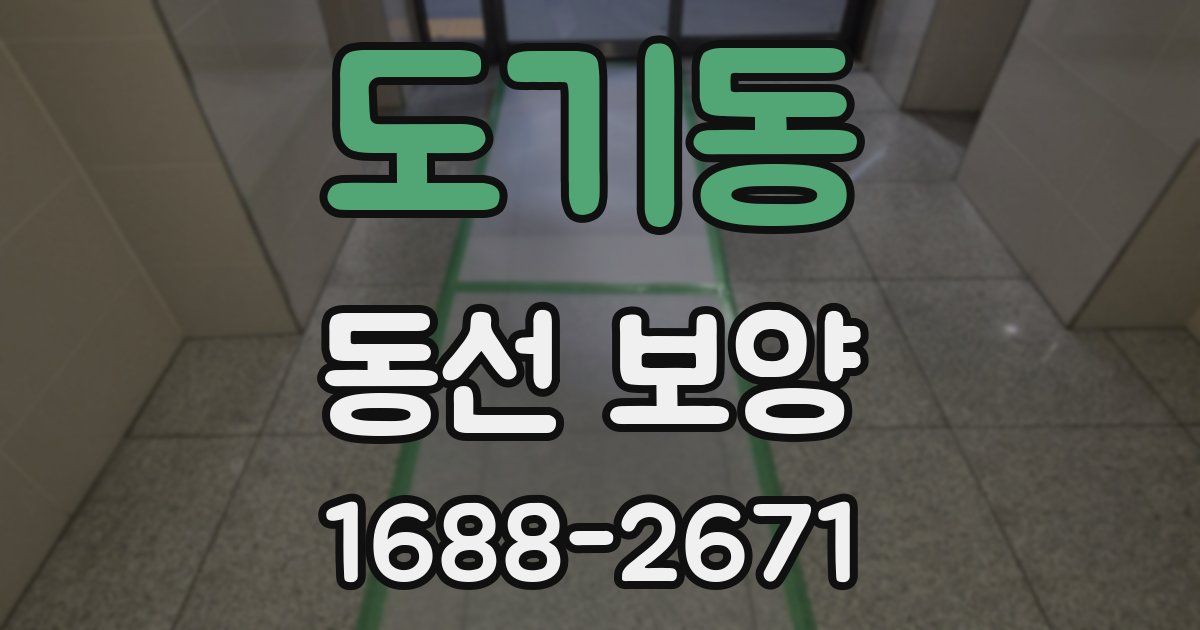 도기동 동선 보양