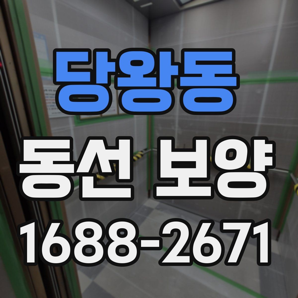 당왕동 동선 보양 견적서에서 확인할 핵심 항목