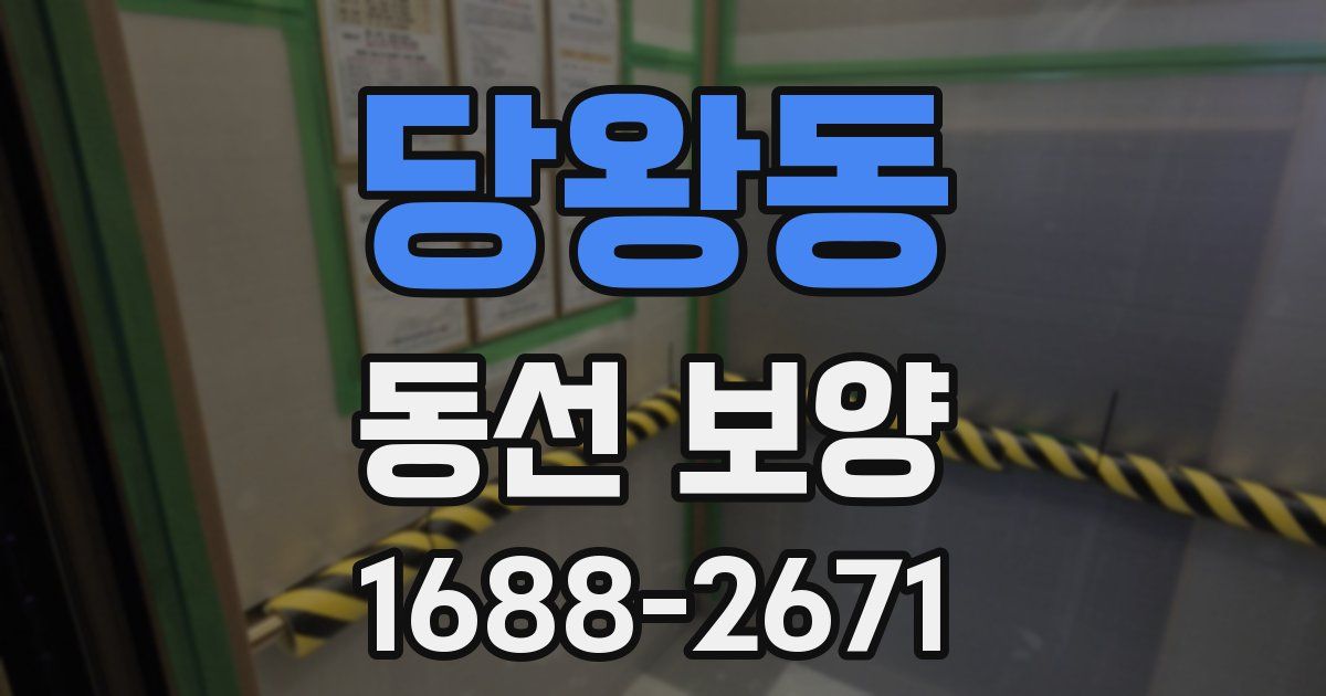 당왕동 동선 보양