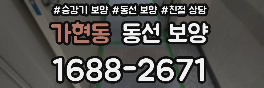 가현동 동선 보양