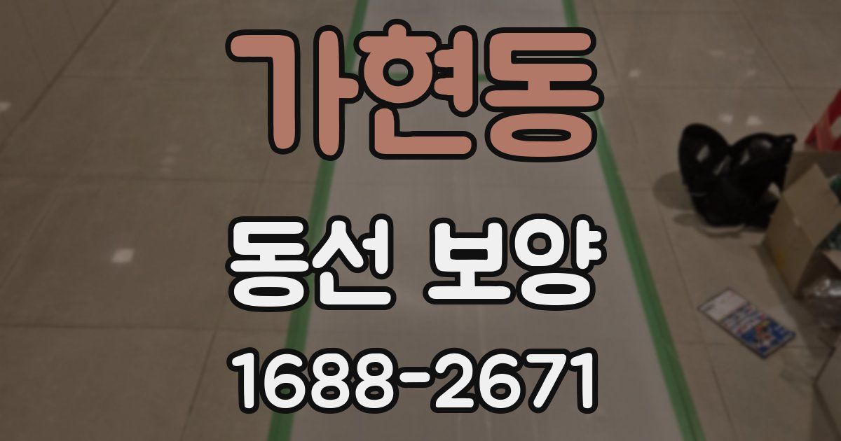 가현동 동선 보양