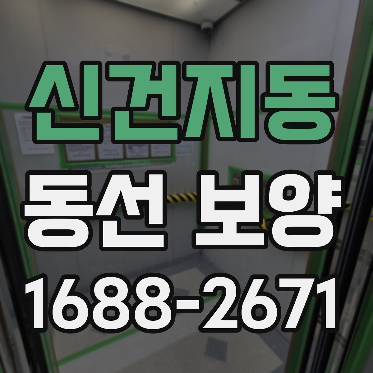 신건지동 동선 보양 현장 적용 사례와 작업 노하우
