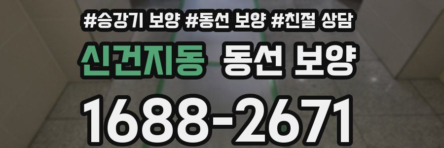 신건지동 동선 보양