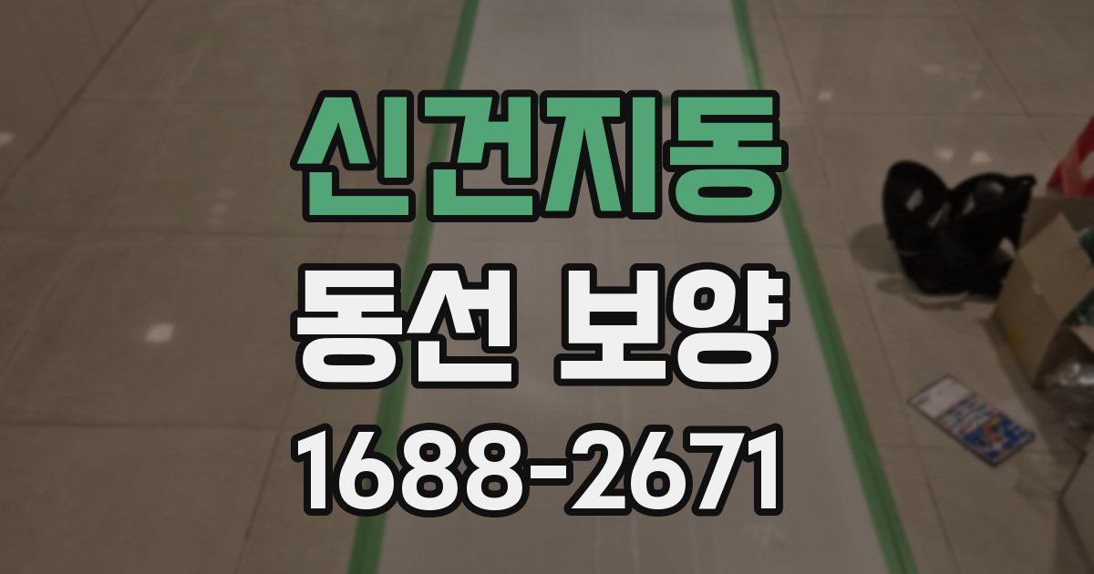 신건지동 동선 보양