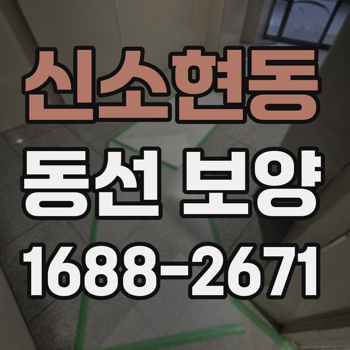 신소현동 동선 보양 공정이 필요한 이유 살펴보기