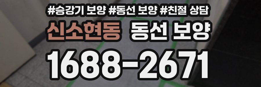 신소현동 동선 보양
