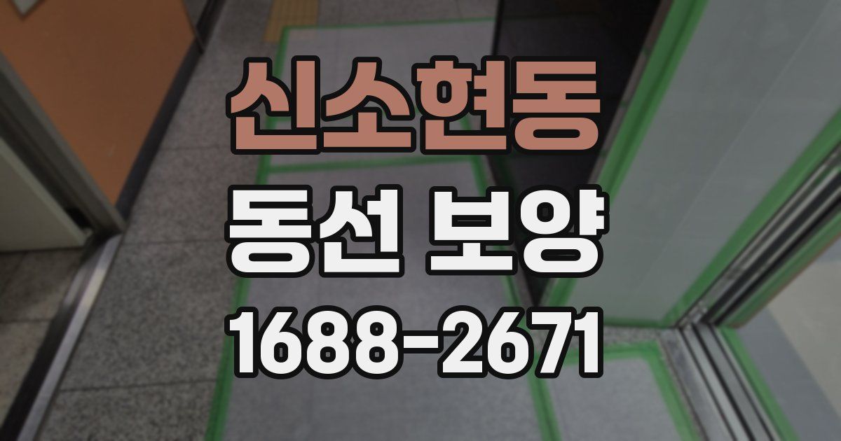 신소현동 동선 보양