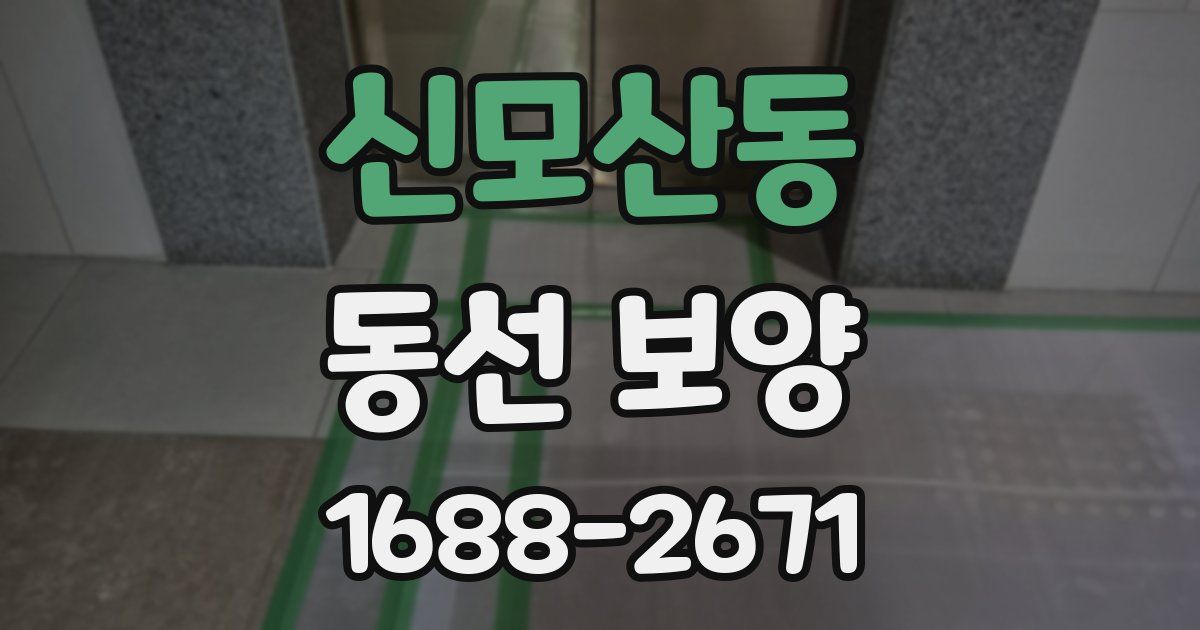 신모산동 동선 보양