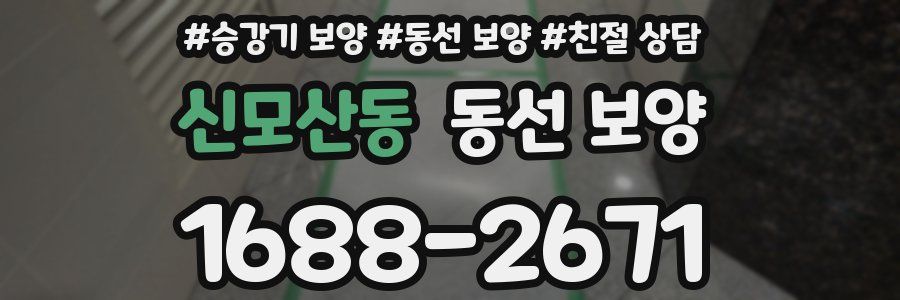 신모산동 동선 보양