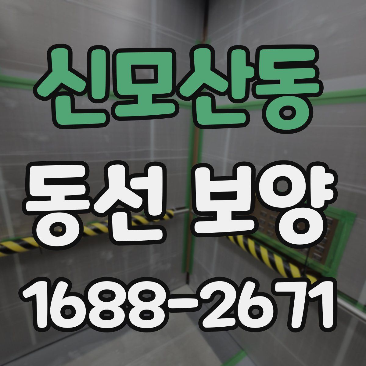 신모산동 동선 보양