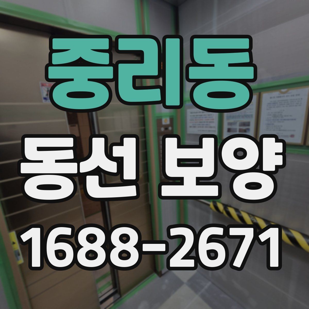 중리동 동선 보양 업체 선정 시 확인할 실무 포인트