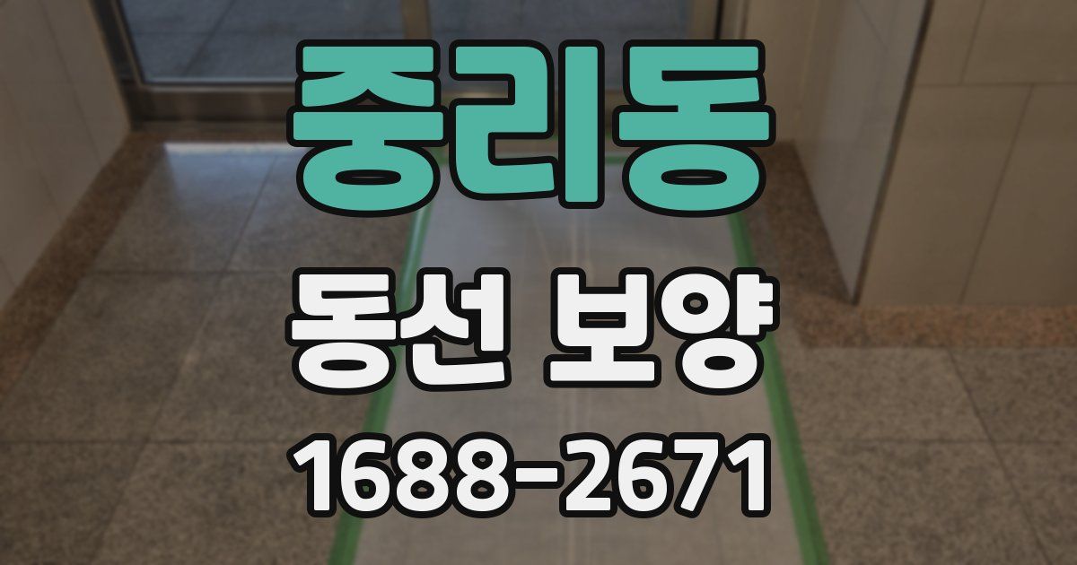 중리동 동선 보양
