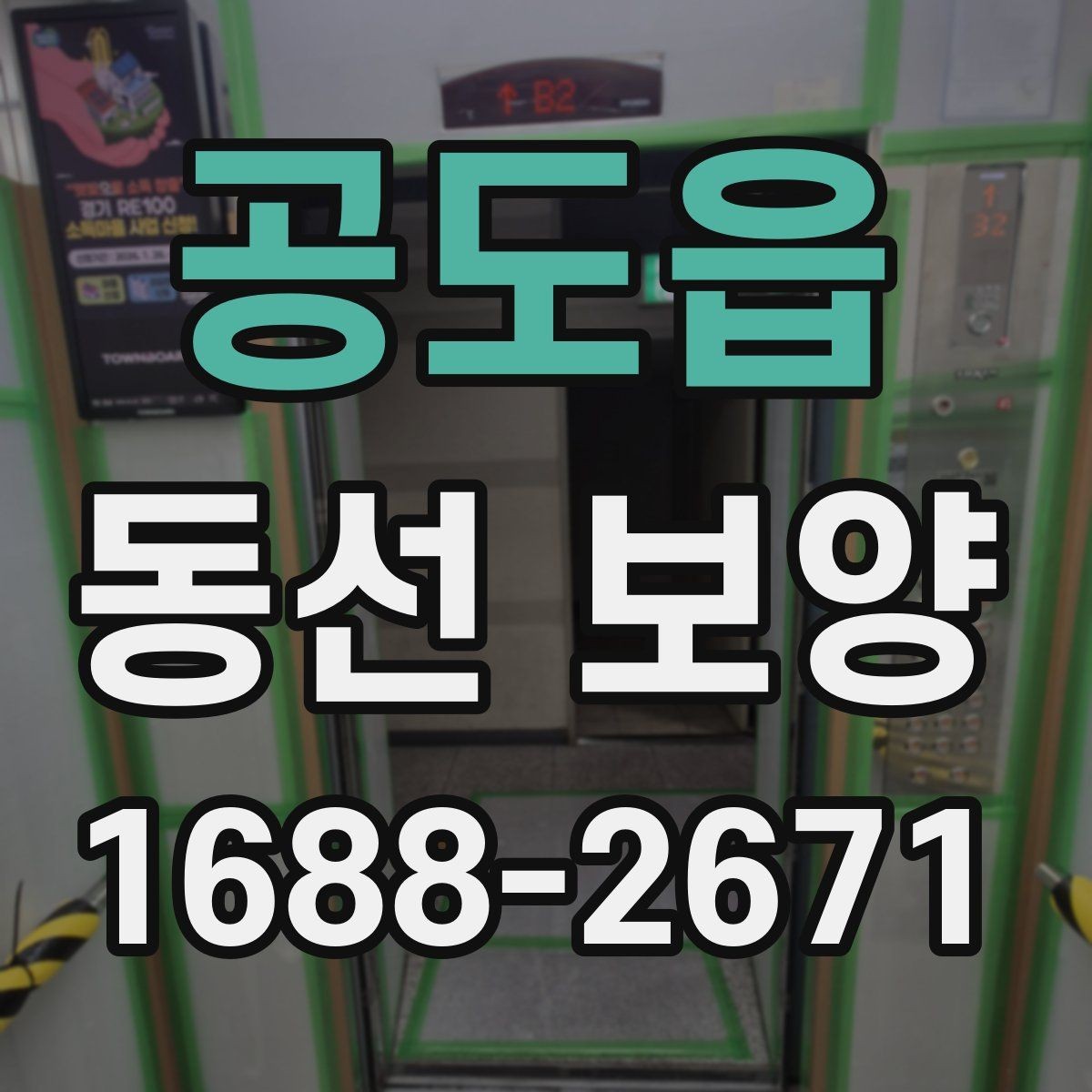 공도읍 동선 보양 견적 비교할 때 살펴볼 포인트