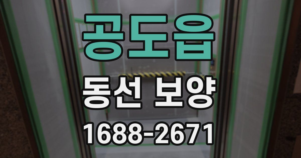 공도읍 동선 보양
