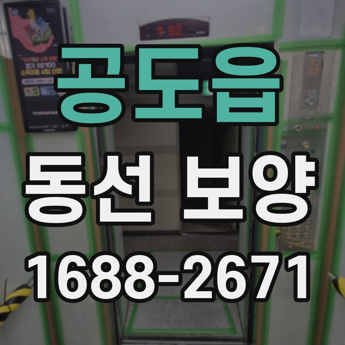 공도읍 동선 보양