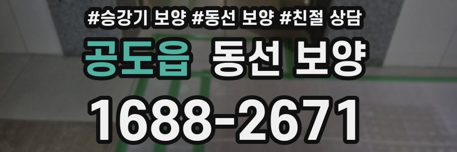 공도읍 동선 보양