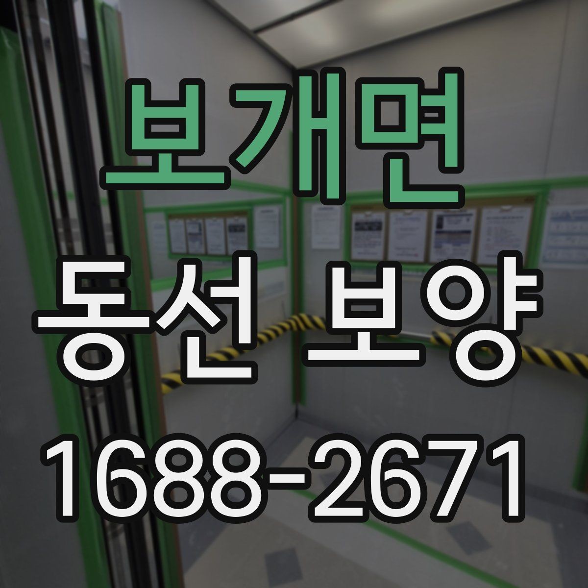 보개면 동선 보양 적용 범위를 정하는 실무 기준