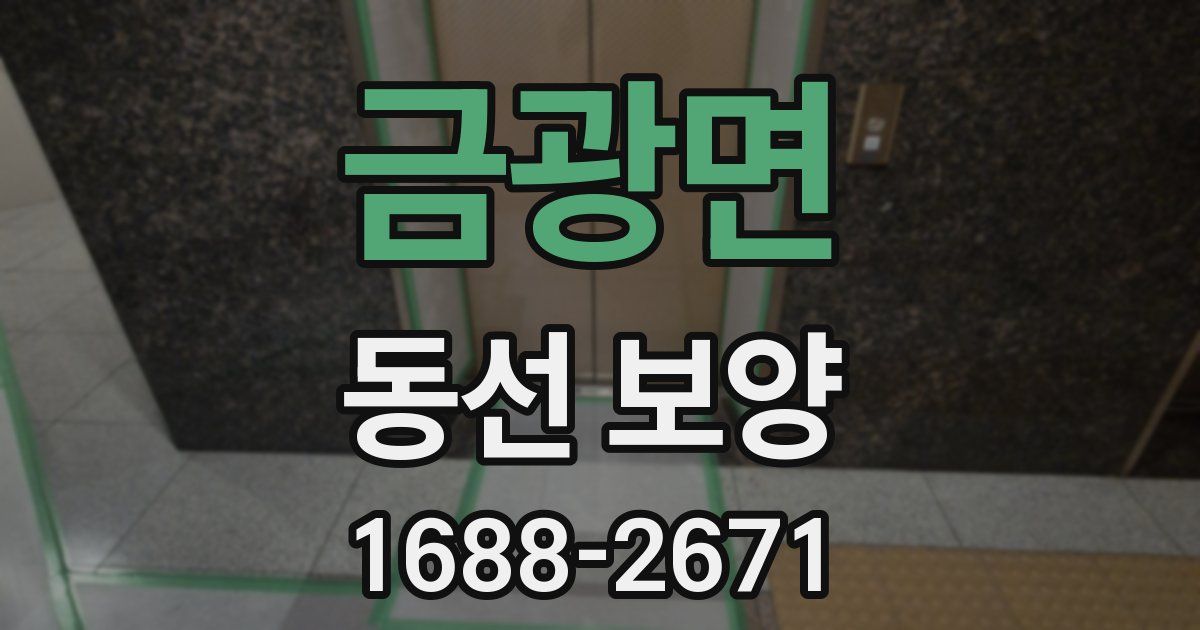 금광면 동선 보양