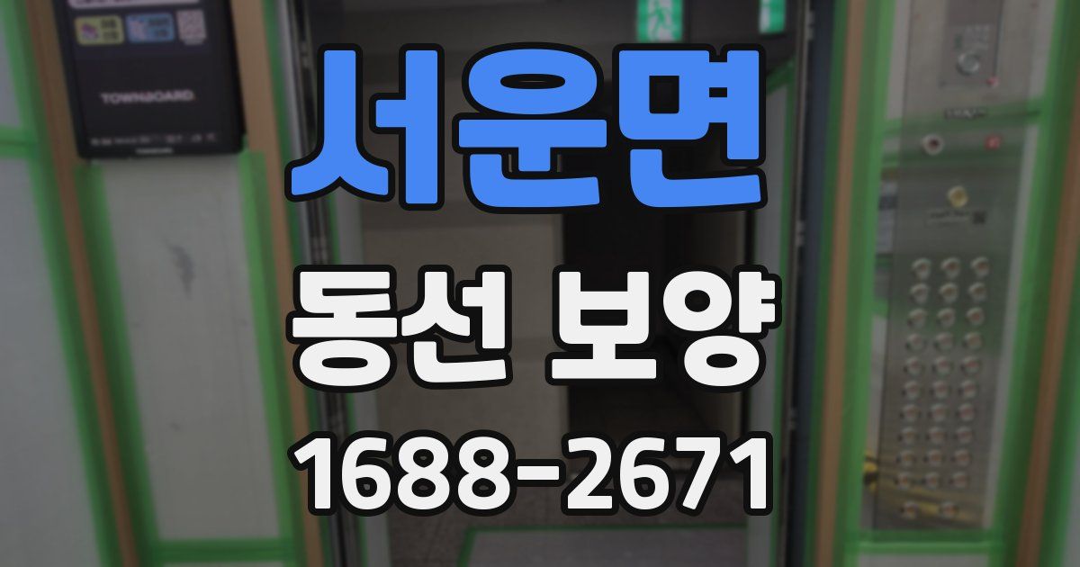 서운면 동선 보양