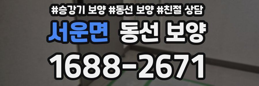 서운면 동선 보양