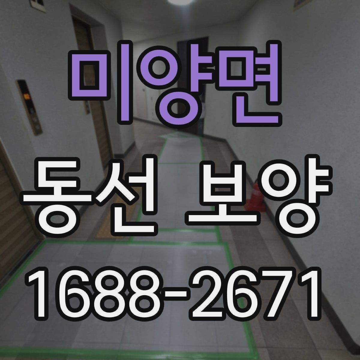 미양면 동선 보양 후 유지 관리를 고려한 선택