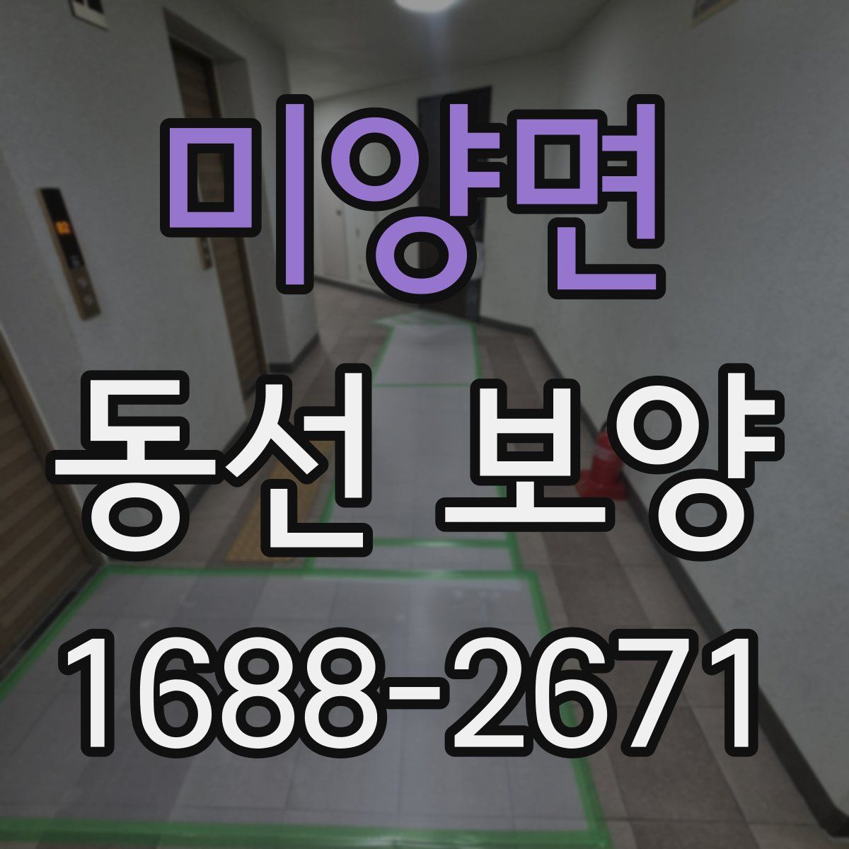 미양면 동선 보양