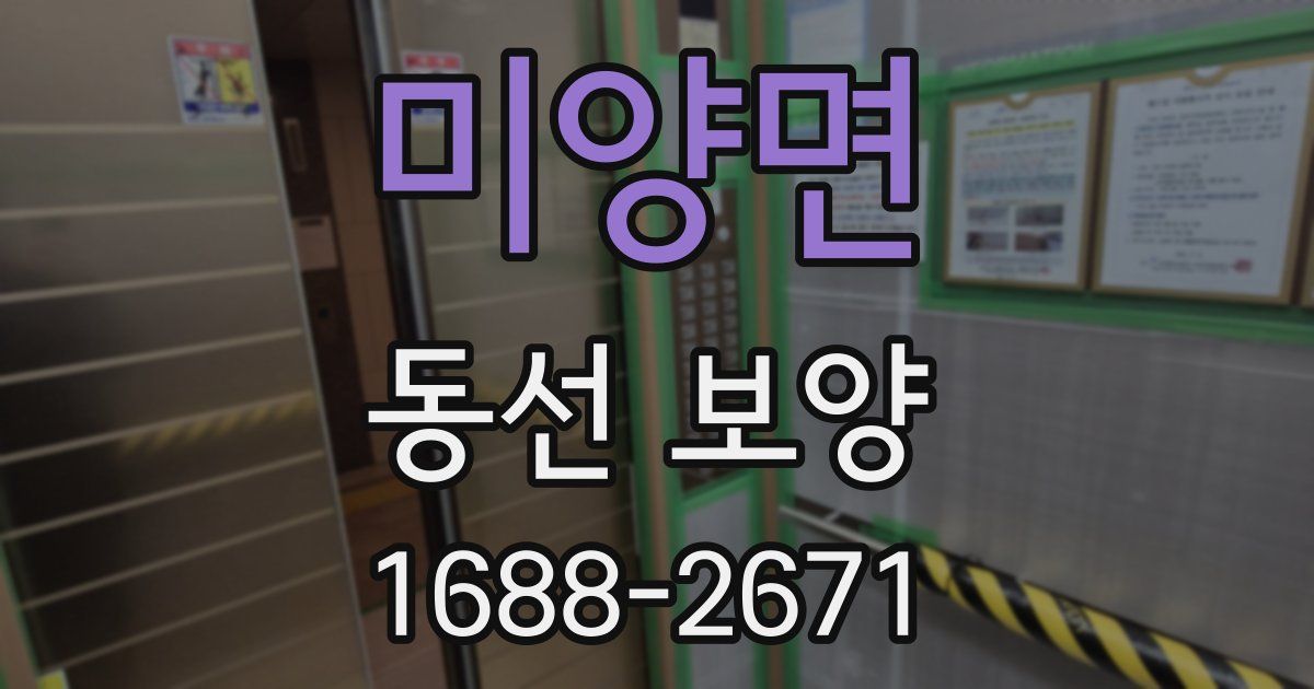 미양면 동선 보양