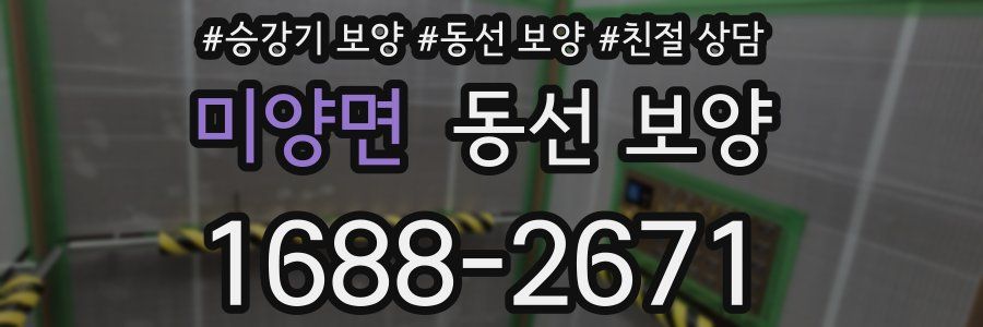 미양면 동선 보양